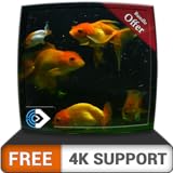FREE Beautiful Aquarium HD - Decorate your room with beautiful Aquarium on your HDR 4K TV, 8K TV and Fire Devices as a wallpaper, Decoration for Christmas Holidays, Theme for Mediation & Peace Photo, new 2024, best price $0.00 review