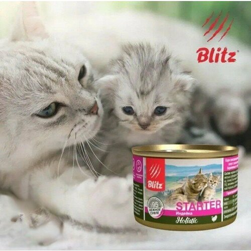 Влажный корм для котят, беременных и кормящих кошек Blitz Holistic Starter 200г*6шт Индейка в суфле фото