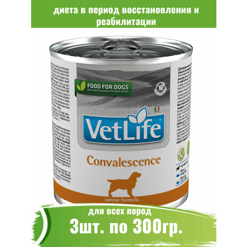 Farmina 3шт по 300г Vet Life Dog Convalescence паштет консервы для собак после болезни фото