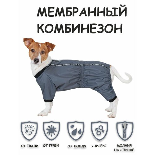 Дождевик для собак DOGMODA Мартин (серый) унисекс р. 3, 28см фото