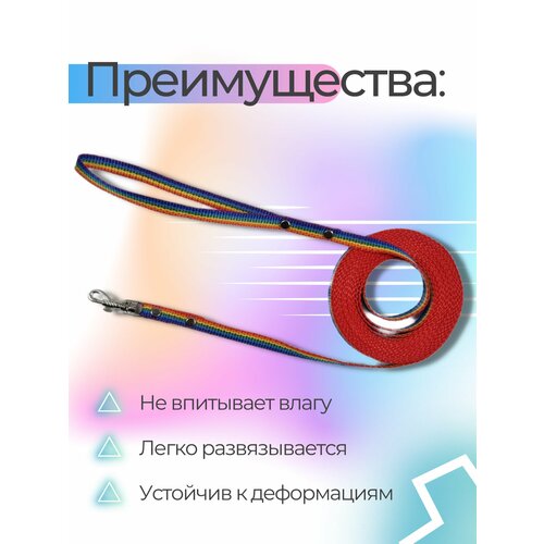 Поводок Хвостатыч для собак нейлоновый классический 5 м х 10 мм (радуга) фото