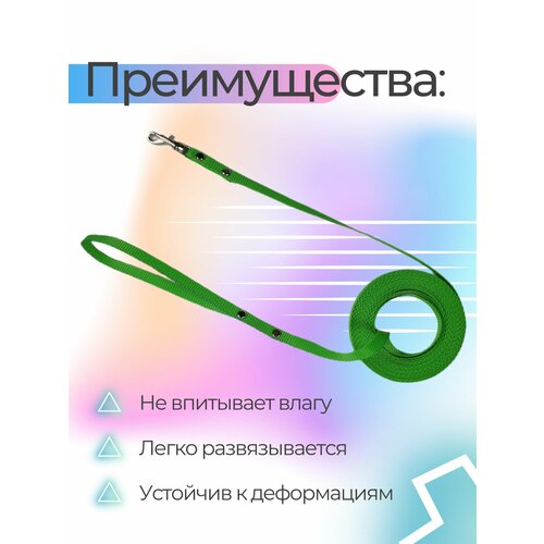 Поводок Хвостатыч для собак нейлоновый классический 1 м х 10 мм (салатовый) фото