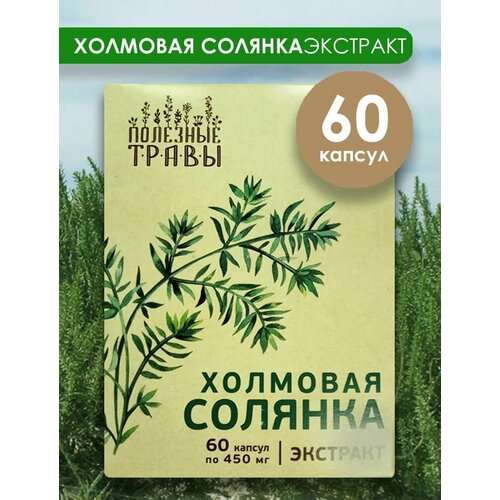 Холмовая солянка, экстракт 60 капсул Пчела и человек фото