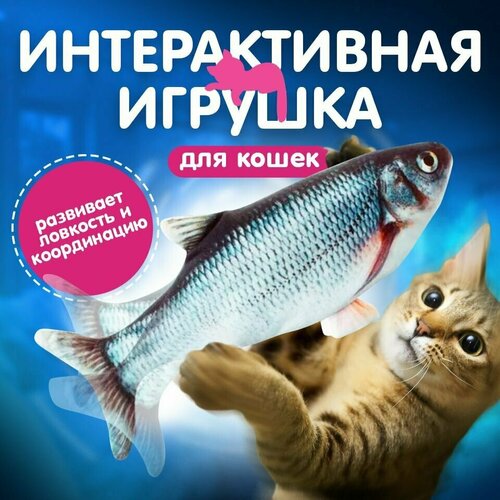 Мягкая игрушка для кошек интерактивная/ рыба механическая/Карась фото