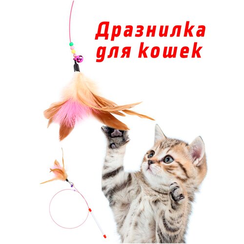 Игрушка для кошек / Дразнилка для котов / Игрушки для животных. фото