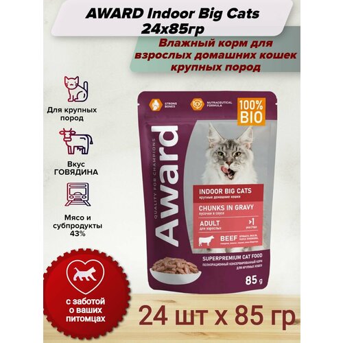 AWARD Indoor Big Cats влажный корм для взрослых домашних кошек крупных пород, кусочки в соусе с говядиной, в паучах - 85 г х 24 шт фото