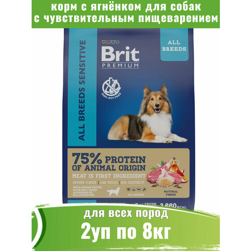 Brit Premium Dog Sensitive 2шт по 8кг корм для собак с чувствительным пищеварением фото