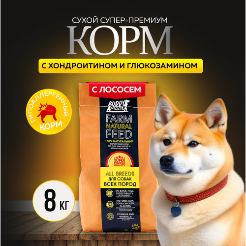 Сухой корм для собак средних и крупных пород Buddy Dinner Gold Line Hypoallergenic с лососем 8 кг фото