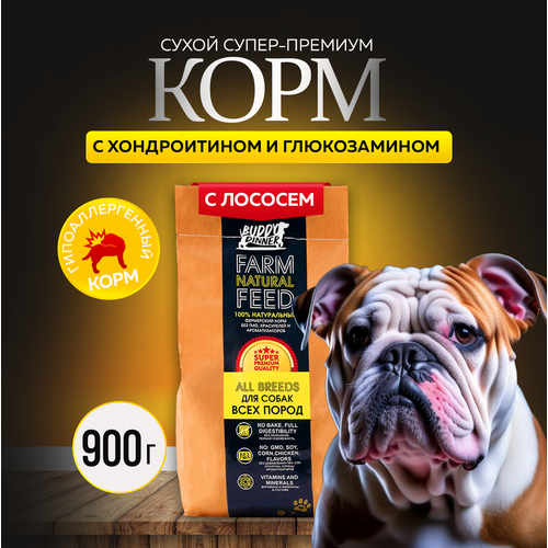 Сухой корм для собак средних и крупных пород Buddy Dinner Gold Line Hypoallergenic с лососем 900 гр фото