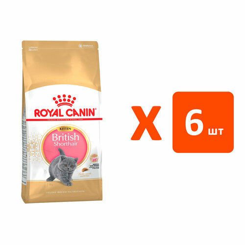 ROYAL CANIN BRITISH SHORTHAIR KITTEN 34 для британских короткошерстных котят (2 кг х 6 шт) фото