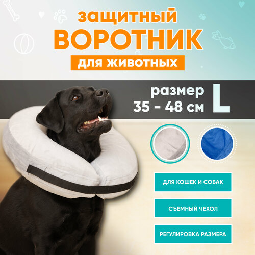 Защитный ветеринарный воротник для собак и кошек Mr Dog, L фото