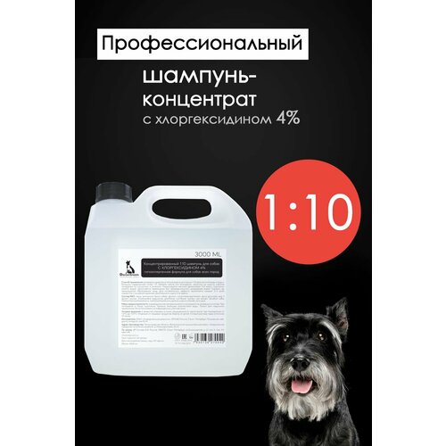 Профессиональный антибактериальный, противомикробный, противогрибковый шампунь для собак всех пород Doctor Groom, 3л фото