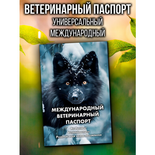 Ветеринарный паспорт для кошек и собак международный фото