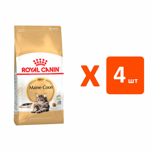 ROYAL CANIN MAINE COON ADULT для взрослых кошек мэйн кун (4 кг х 4 шт) фото