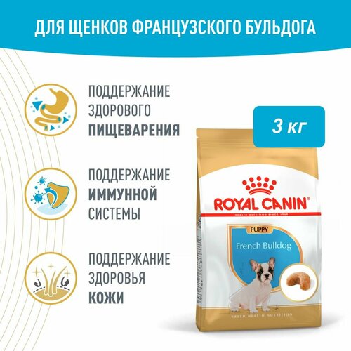 Royal Canin French Bulldog Puppy (Французский бульдог паппи) Корм сухой для щенков породы Французский Бульдог до 12 месяцев, 3кг фото