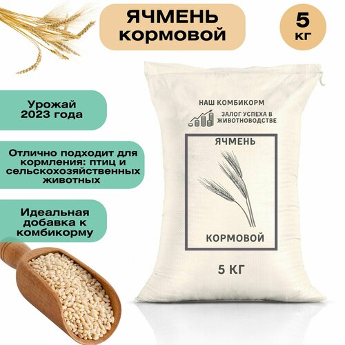 Ячмень кормовой 5 кг. Незаменимый продукт для кормления крупного рогатого скота, свиней, овец, домашней птицы и рыб. Для полноценного питания фото