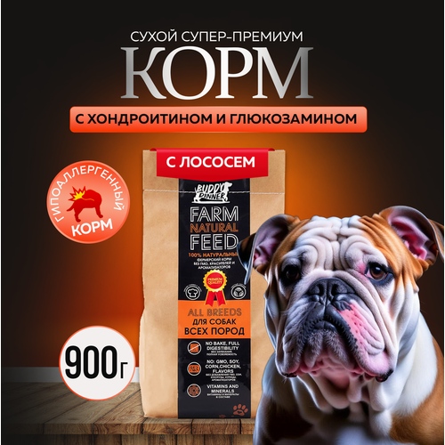 Сухой корм для собак крупных и средних пород Buddy Dinner Orange Line Hypoallergenic с лососем 900 гр фото