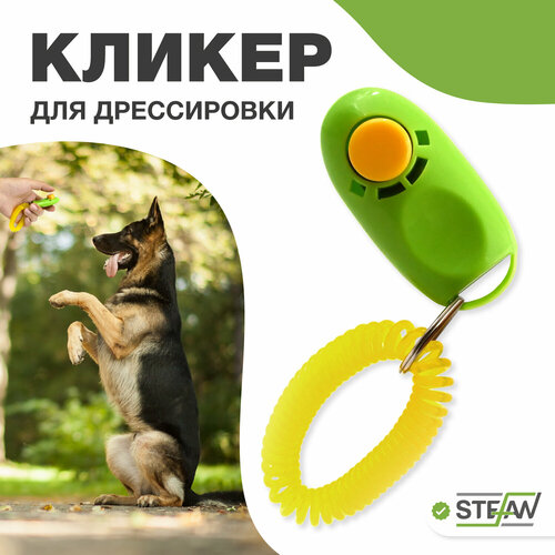 Кликер STEFAN (Штефан) для дрессировки собак GCT40 фото