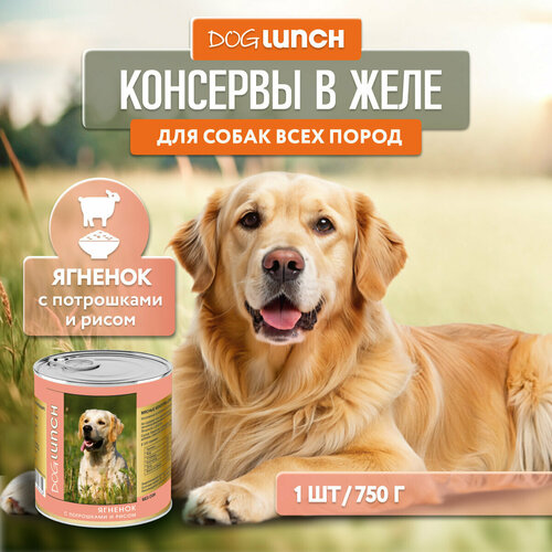 Влажный корм для собак Dog Lunch ягненок 1 уп. х 1 шт. х 750 г фото