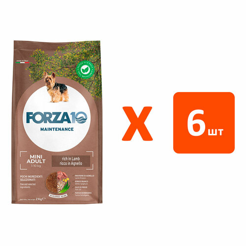 FORZA10 DOG MAINTENANCE ADULT SMALL/MEDIUM для взрослых собак маленьких и средних пород с ягненком и рисом (2 кг х 6 шт) фото