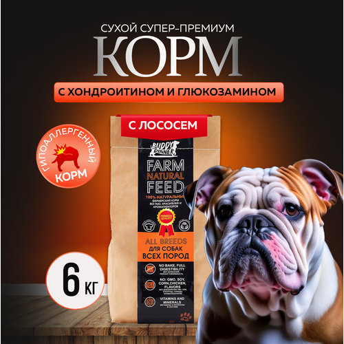 Сухой корм для собак крупных и средних пород Buddy Dinner Orange Line Hypoallergenic с лососем 6 кг фото