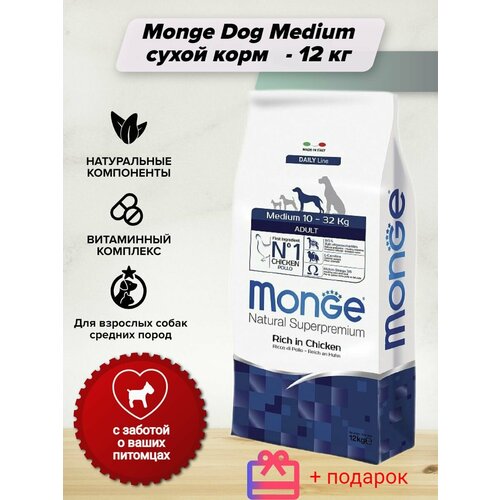 Monge Dog Medium сухой корм для взрослых собак средних пород - 12 кг для собак всех пород с курицей, рисом и картофелем 12 кг фото