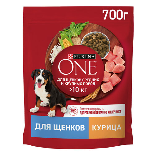 Сухой корм для щенков Purina ONE для средних и крупных пород с курицей и рисом 700 г фото