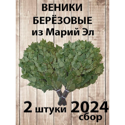 Веник березовый для бани 2 штуки Марий Эл, сбор 2024 года фото