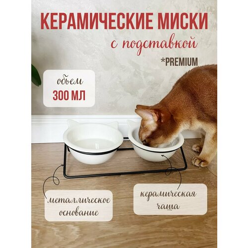 Миска для собак и кошек керамика фото