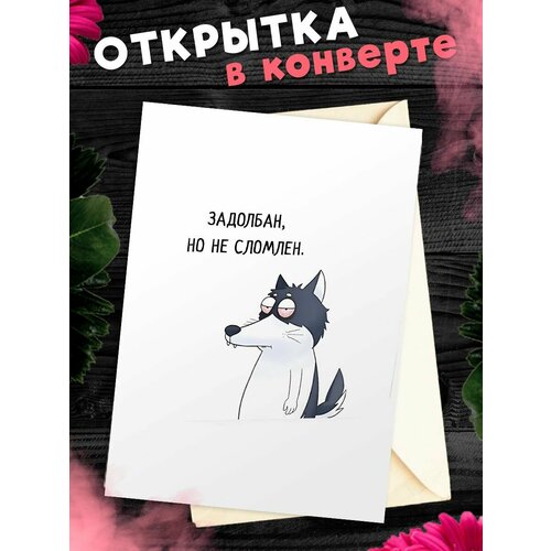 Открытка для посткроссинга А6 в конверте с приколом фото