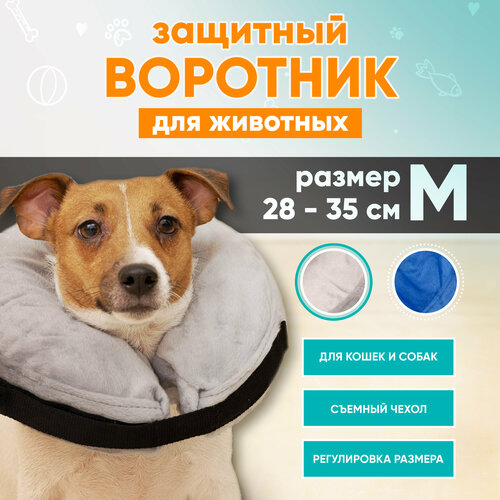 Защитный ветеринарный воротник для собак и кошек Mr Dog, M фото