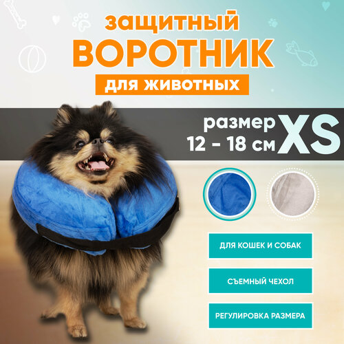 Защитный ветеринарный воротник для собак и кошек Mr Dog, XS фото