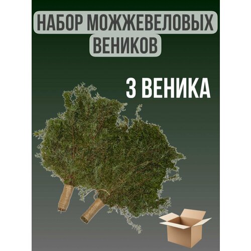 Набор можжевеловых веников 3 штуки фото