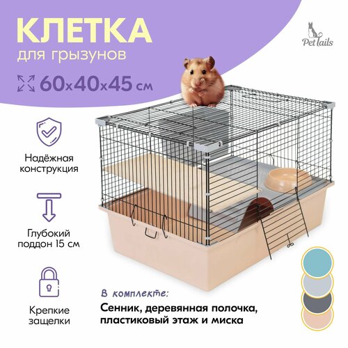 Клетка ГЕРА-1 