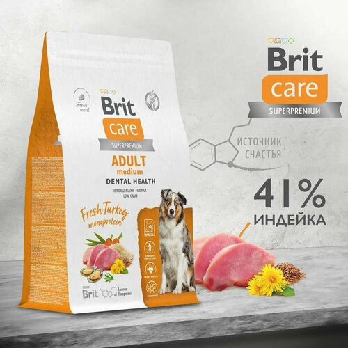 4 шт по 3кг. Сухой корм Brit Care Dog Adult M Dental Health 12 кг для взрослых собак средних пород, с индейкой фото