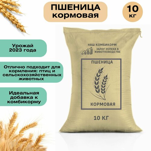 Пшеница кормовая 10 кг. Незаменимый продукт для сельскохозяйственных животных, подходит для кормления птицы, кроликов и КРС фото