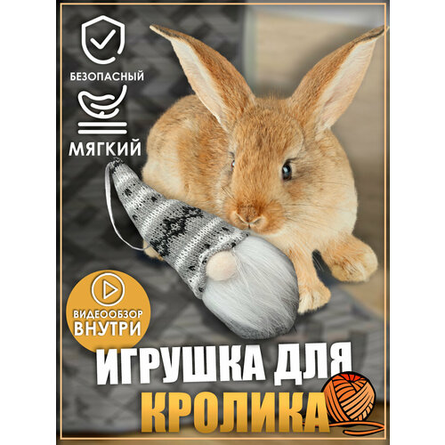 Игрушка для кролика, гномик, игрушки для грызунов, игрушки для животных фото