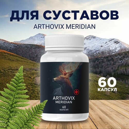 Средство для здоровья суставов Arthovix Meridian фото