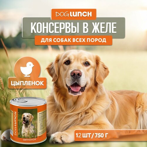 Влажный корм для собак Dog Lunch цыпленок 1 уп. х 12 шт. х 750 г фото