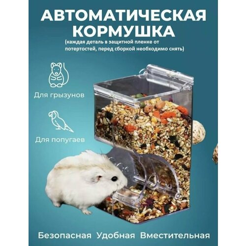 Автоматическая кормушка для грызунов фото