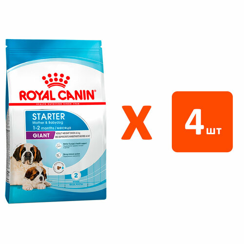 ROYAL CANIN GIANT STARTER для щенков крупных пород до 2 месяцев, беременных и кормящих сук (4 кг х 4 шт) фото