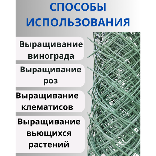 Сетка садовая пластиковая для плетистых роз яч.50х50мм 1х5м фото