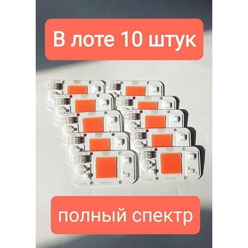 Десять полноспектральных светодиодов для растений (фитосветодиоды) YXO DOB4075-50W/220V фото