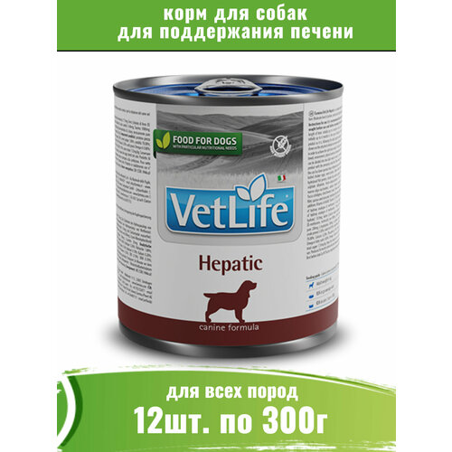 Farmina Vet Life Dog Hepatic 12шт по 300г корм для собак при заболеваниях печени фото