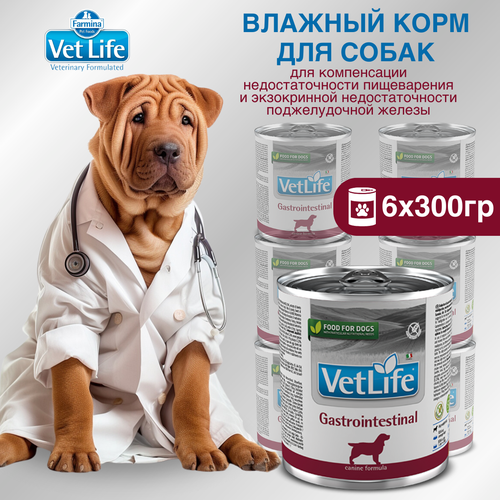 Набор. Влажный корм Farmina Vet Life Gastrointestinal для собак при заболеваниях ЖКТ, 300г, 6 шт фото