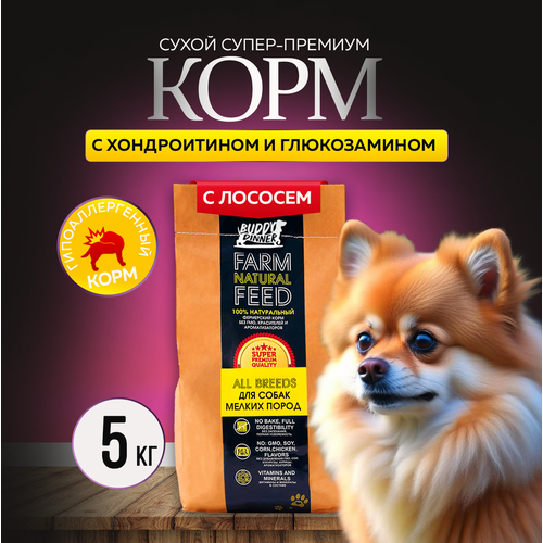 Сухой корм для собак мелких пород Buddy Dinner Gold Line Hypoallergenic с лососем 5 кг фото