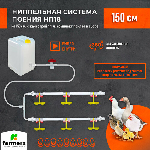 Двойная ниппельная система поения НП18 150 см с канистрой 11л, комплект поилка в сборе. Для бройлеров кур перепелов цыплят индейки цесарок для брудера фото