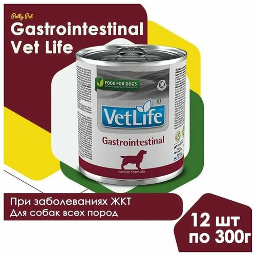 Консервированный влажный корм Farmina Vet Life Gastrointestinal для собак всех пород, c нарушениями ЖКТ, Фармина Вет Лайф гастроинтестинал со вкусом курицы, 12шт по 300г фото