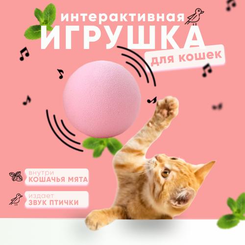 Мячик-дразнилка для кошек с кошачьей мятой и звуками птичек 