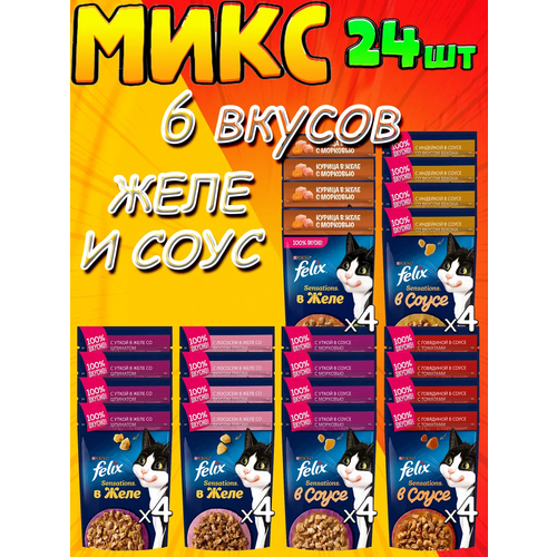 Микс 6 вкусов Феликс Sensations в соусе и желе, для взрослых - 24 штуки фото